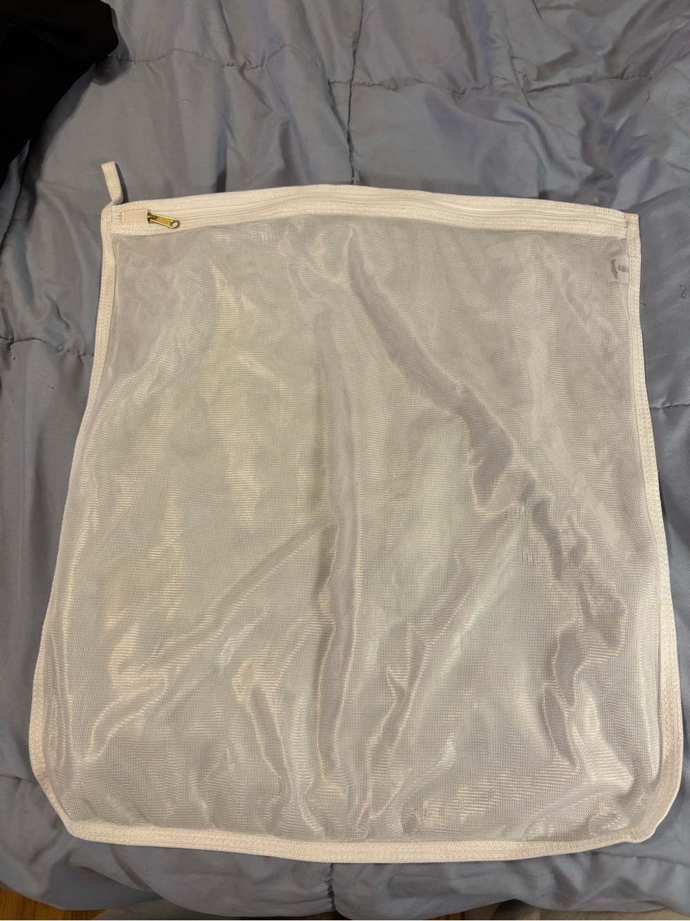 Intimates Mesh Laundry Bag | Zippered Lingerie & Delicates Wash Bag
